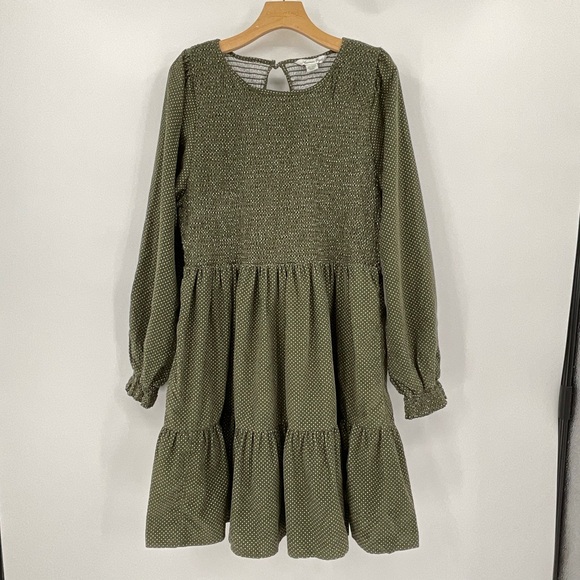 American Eagle Corduroy Green with White Polka Dots Dress NWT Size XXL E2 - Picture 2 of 9